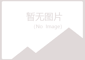 银川西夏雁玉化学有限公司